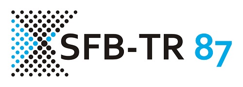 SFB-TR87